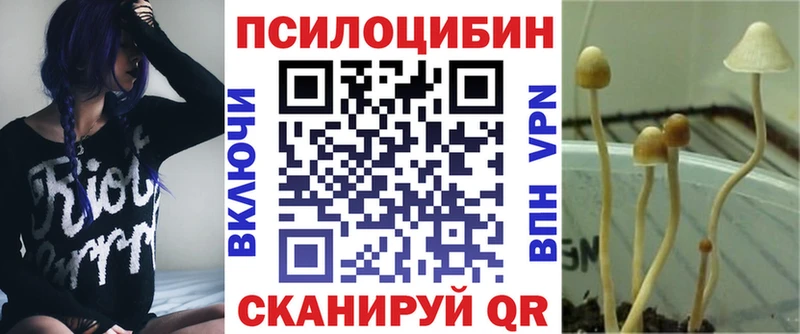 Псилоцибиновые грибы Psilocybe  где можно купить наркотик  Михайлов 